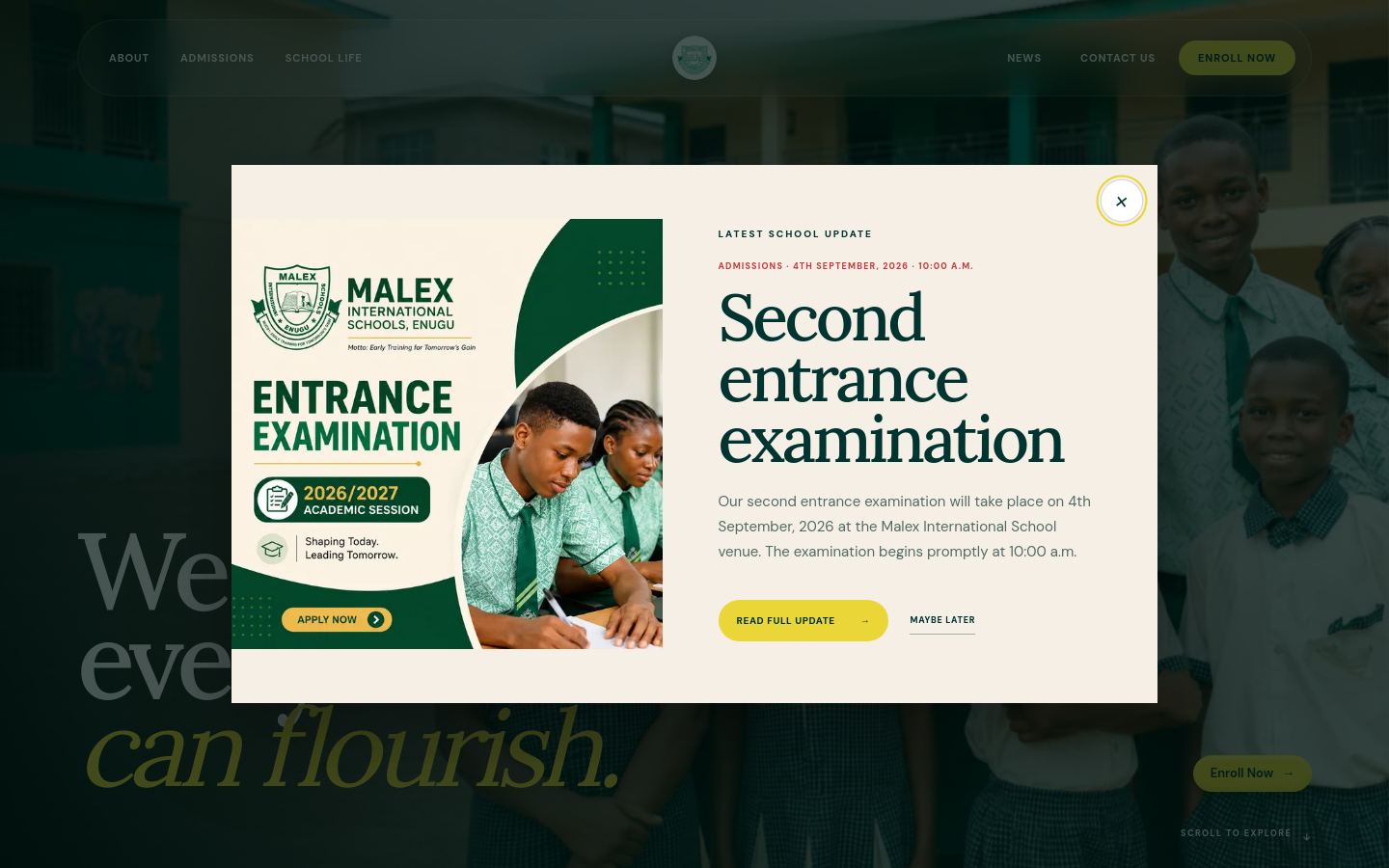 Preview of Malex school website